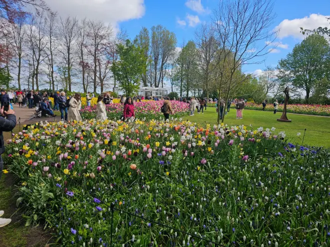 Blomstertåget